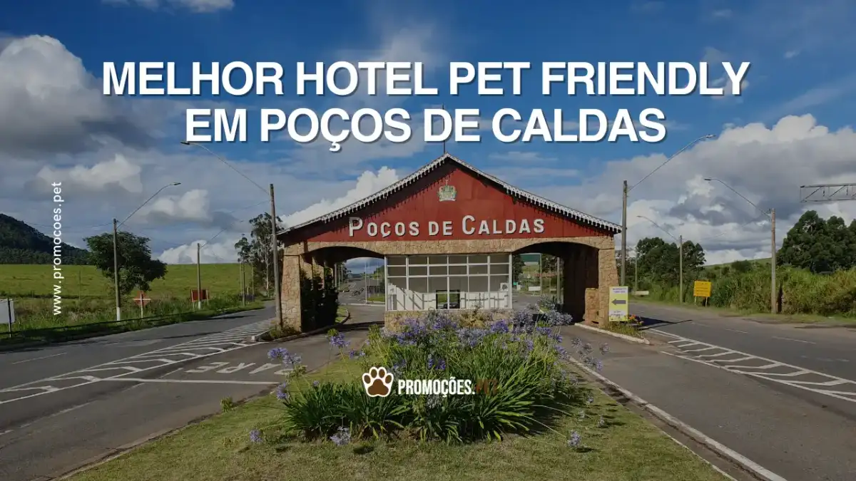 Melhores hotéis que aceitam pet em Poços de Caldas