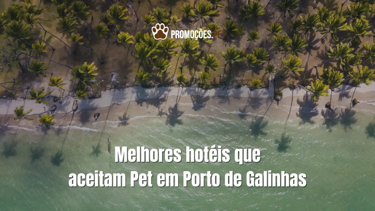 Melhores hotÃ©is que aceitam Pet em Porto de Galinhas