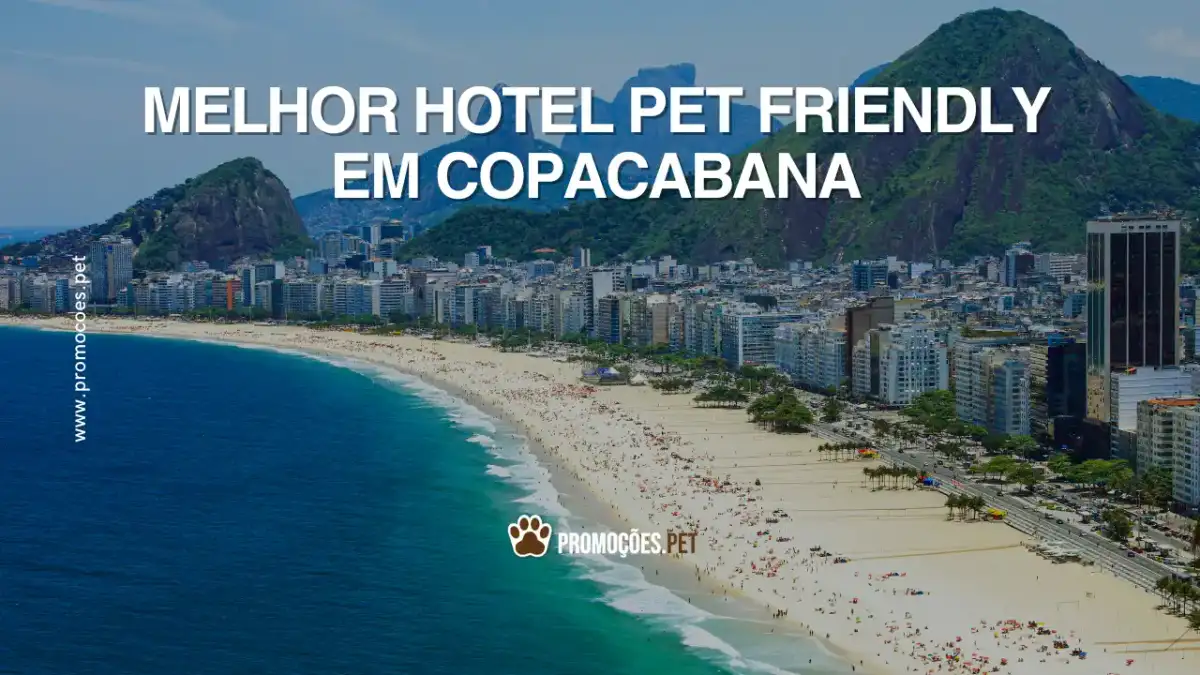 Melhores acomodações que aceitam pet em Copacabana