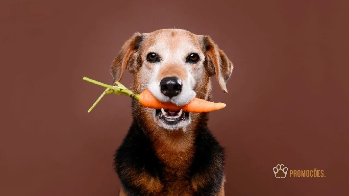 cachorro amarelo, preto e branco com uma cenoura na boca