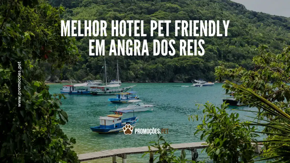 Como escolher o melhor hotel que aceita pet em Angra dos Reis