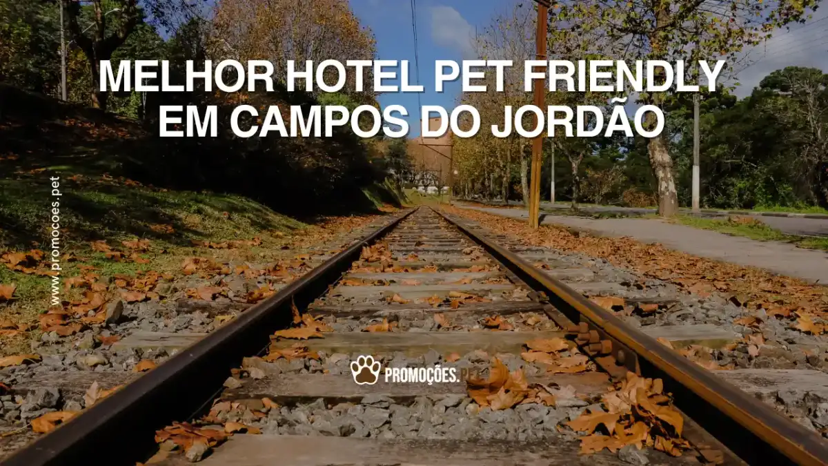 Encontre o melhor hotel Pet Friendly em Campos do Jordão