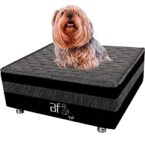 Como escolher a melhor cama box para cães e gatos