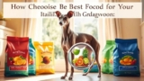 Como Escolher a Melhor Ração Para Galgo Italiano