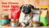 Como Escolher a Melhor Ração Para Pug